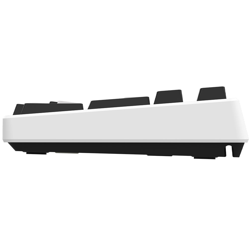 Tastatura AQIRYS Adara