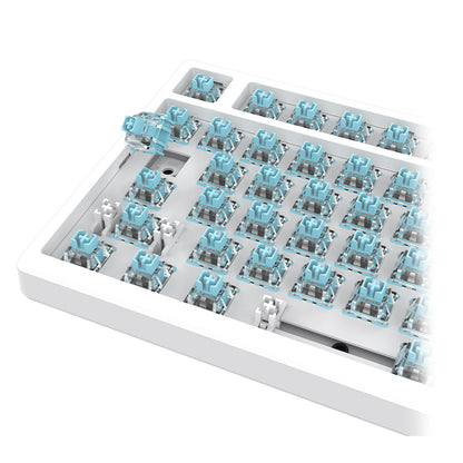 Set 110 contacte personalizate AQIRYS - HaiMu Ocean Blue